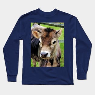 Cows - Calf Closeup Long Sleeve T-Shirt